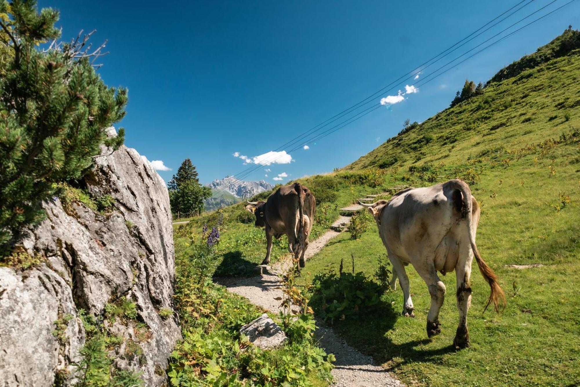 Appartamento Ferienhaus Geiger Oberstdorf Esterno foto